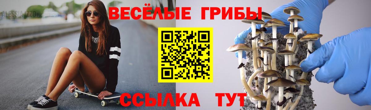 Владикавказ  где найти наркотики  Вход с VPN  Галлюциногенные грибы Psilocybe 